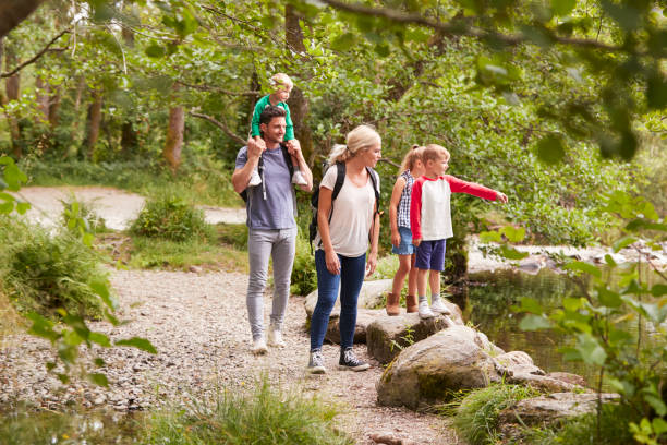 Family Hiking Along Path By River In UK Lake District Family Hiking Along Path By River In UK Lake District hiking in park stock pictures, royalty-free photos & images