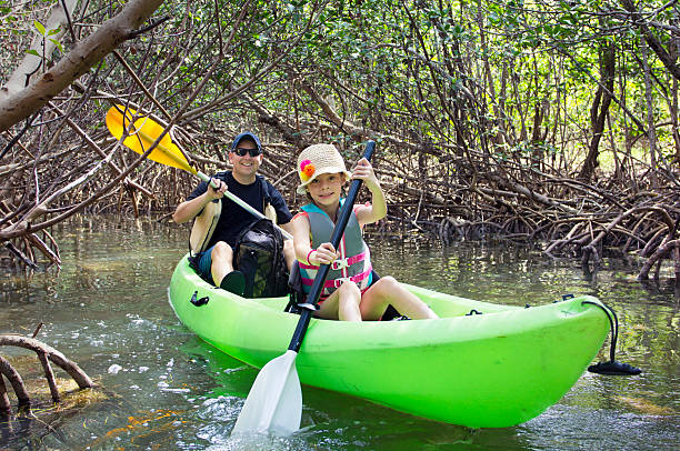 famille faire du kayak à travers forêt de mangrove tropicale - kayak mangrove photos et images de collection