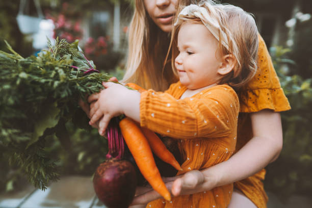 Family mother and child girl with organic vegetables healthy eating lifestyle vegan food homegrown carrot and beetroot local farming grocery shopping agriculture concept stock photo