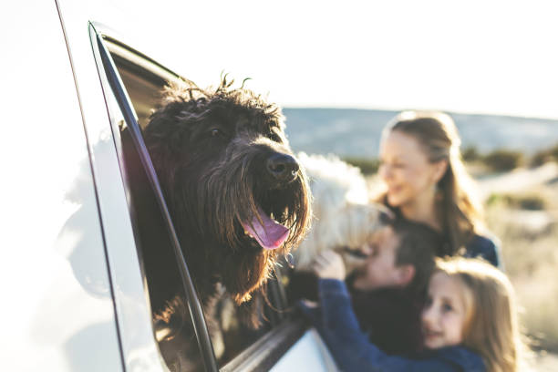 家族の母娘と息子のアウトドアアドベンチャー犬と西コロラド州 - コロラド州 写真 ストックフォトと画像