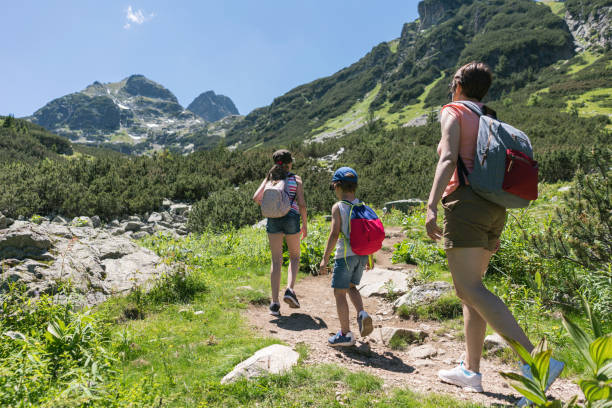 Family on a hiking trip in the mountains stock photo