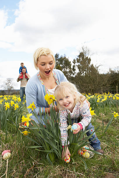 Family On Easter Egg Hunt In Daffodil Field stock photo