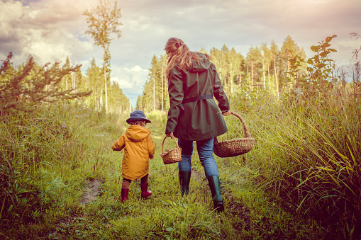 Mother and son picking mushrooms outdoors in autumn