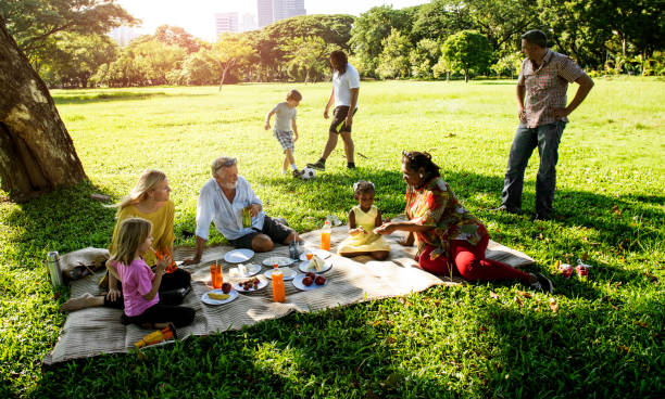 Image result for outdoor picnic