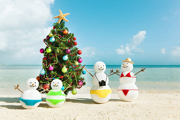 Family Vacationing in Tropical Beach HzParadise Subject: Tourist snowman family winter vacationing in tropical paradise, sitting in beach chairs in Cancun Mexico. human limb photos stock pictures, royalty-free photos & images