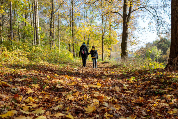 family walking on a path full of leaves in sunny autumn forest low angle stock photo