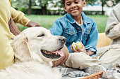 istock Family with dog on a picnic 1333190124