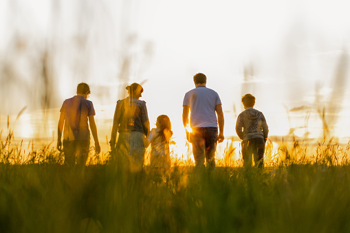 Rear view of family with three children walking on grass field during sunset
