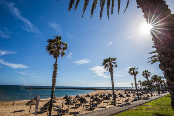 Famous beaches of Tenerife, Playa las Americas and Playas Del Camison on sunny day. stock photo