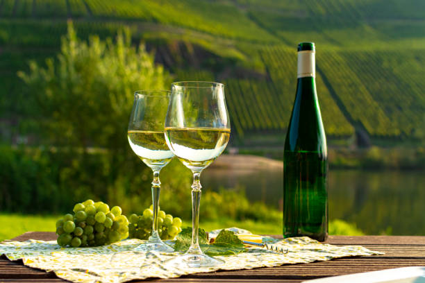 Famous German quality white wine riesling, produced in Mosel wine regio from white grapes growing on slopes of hills in Mosel river valley in Germany stock photo