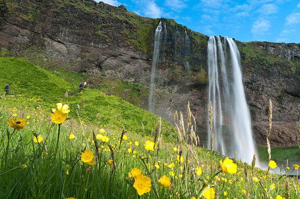 famous Seljalandsfoss waterfall of Iceland stock photo