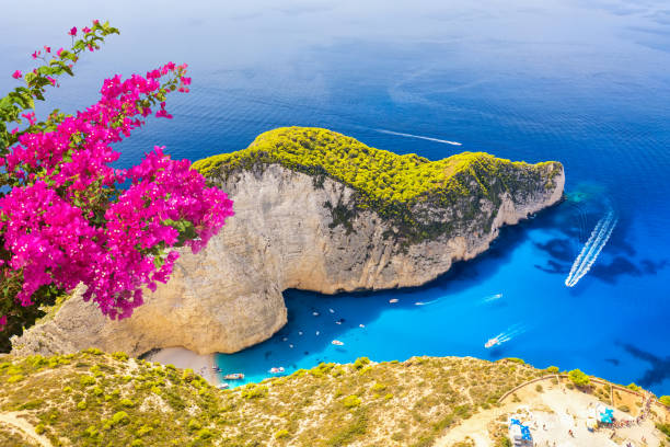 famous shipwreck navagio beach with pink bougainvillea flower on zakynthos island, greece. greece iconic vacation picture. - navagio beach stockfoto's en -beelden