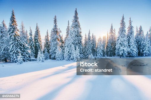 istock Fantastic winter landscape. Magic sunset in the mountains a fros 645466274