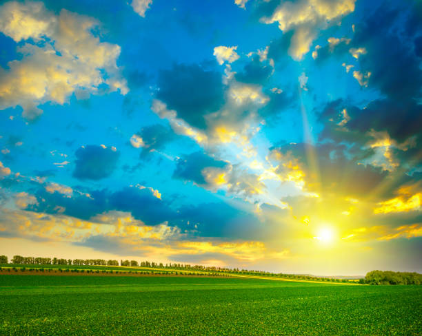 Fantastically beautiful bright sky Fantastically beautiful bright sky over green farm field. beauty in nature stock pictures, royalty-free photos & images