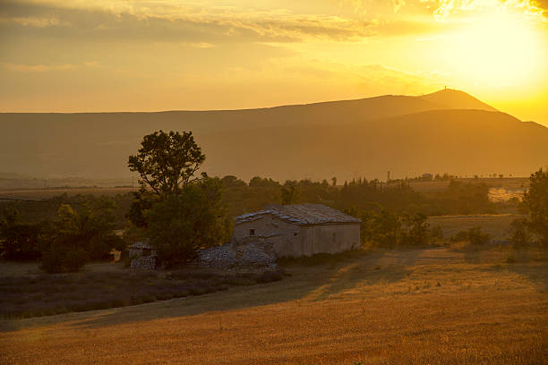 Farm at sunset, Mt Ventoux in the distance stock photo