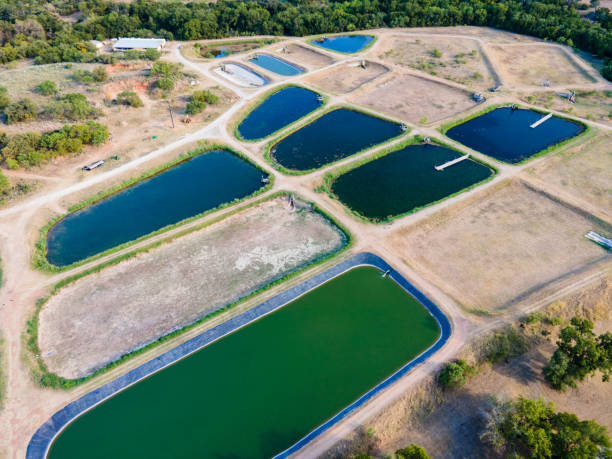 Farm Fishing Hatchery drone views of the Industrial Fish Farming or fish hatcheries along the Colorado River fish hatchery stock pictures, royalty-free photos & images