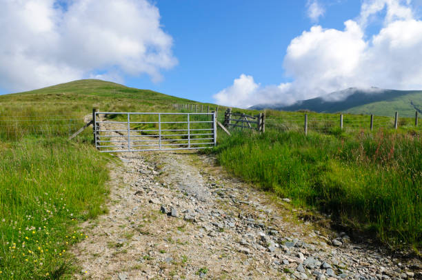 Farm gate in Scotland. stock photo