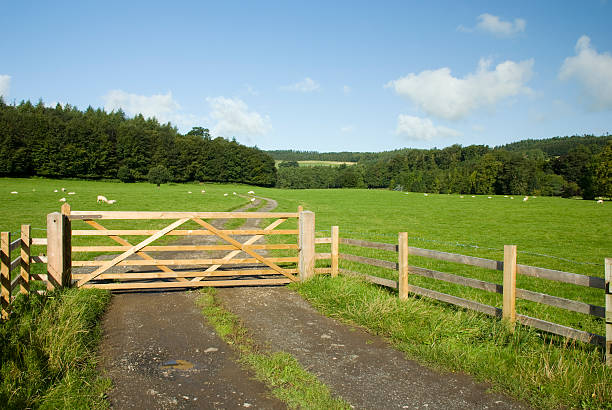 Farm gate, Lake District, UK stock photo