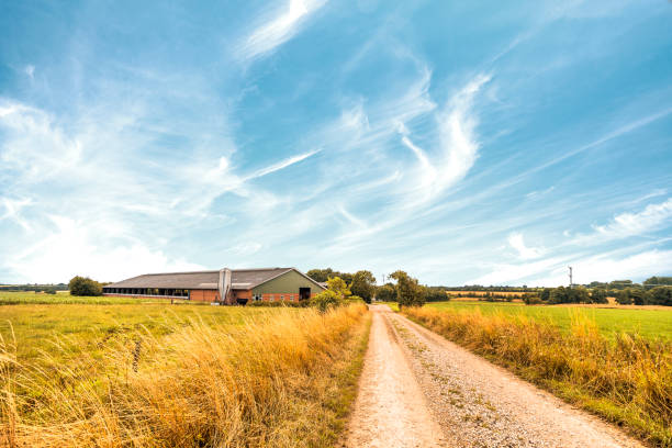 Farm house near a road in a rural countryside stock photo