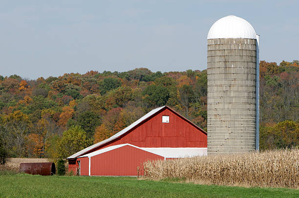 Farm in Autumn stock photo