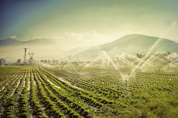 farm irrigation - irrigatiesysteem stockfoto's en -beelden