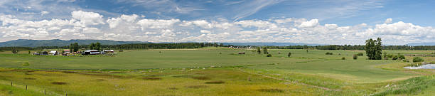 Farm Panorama stock photo