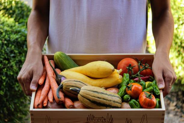 Farm Share Delivery Young man at the door delivering Farm Share box full of fresh vegetables community garden stock pictures, royalty-free photos & images
