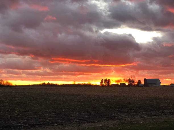 Farm Sunset stock photo