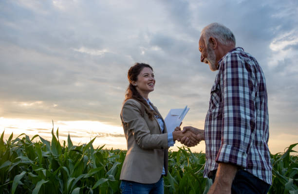Farmer and business woman shaking hands in field Senior man farmer shaking hands with young pretty woman with notebook in corn field. Insurance in agribusiness concept agriculture stock pictures, royalty-free photos & images