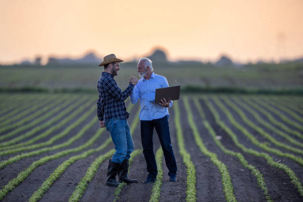 Farmer and insurance agent making deal in agricultural field in spring stock photo