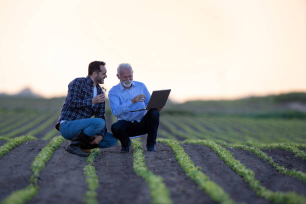 Farmer and insurance agent talking in agricultural field in spring stock photo