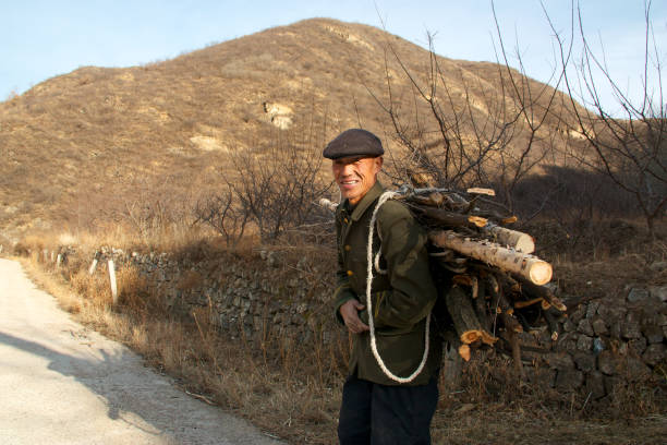 A farmer carries firewood on his back in a mountainous village in the suburb of Beijing. stock photo