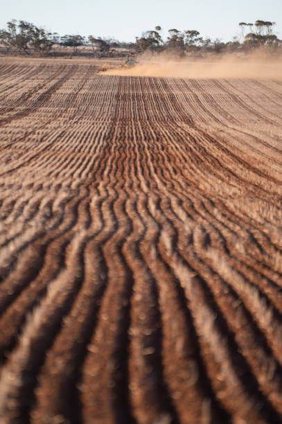 Farmer dry sowing wheat with GPS-guided direct seeder in Kimba, South Australia stock photo