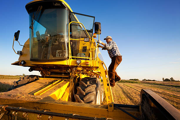 Farmer enters the combine harvester Farmer enters the combine harvester. Starts harvest. agricultural equipment stock pictures, royalty-free photos & images
