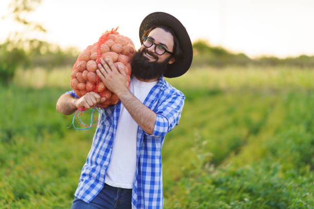 Farmer holding sack of potatoes on his shoulder stock photo