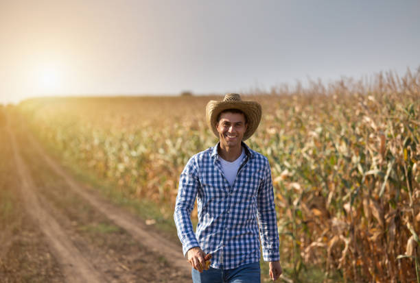 Farmer in corn field Handsome farmer with straw hat walking in corn field in summer time crop yield stock pictures, royalty-free photos & images