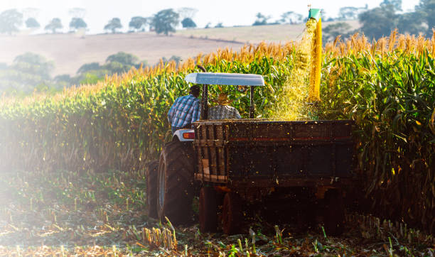 buy a farm in california