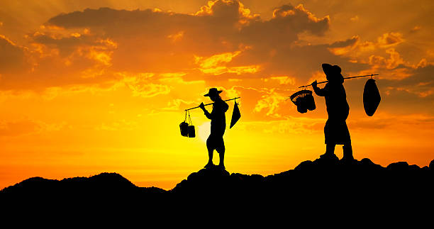 Farmer on sunset stock photo