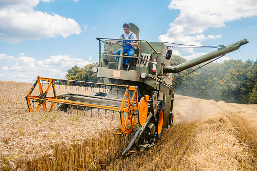Male farmer driving combine harvester in wheat field