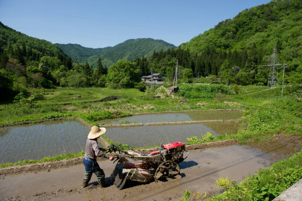 farmer An old man cultivating a rice field using agricultural equipment satoyama scenery stock pictures, royalty-free photos & images