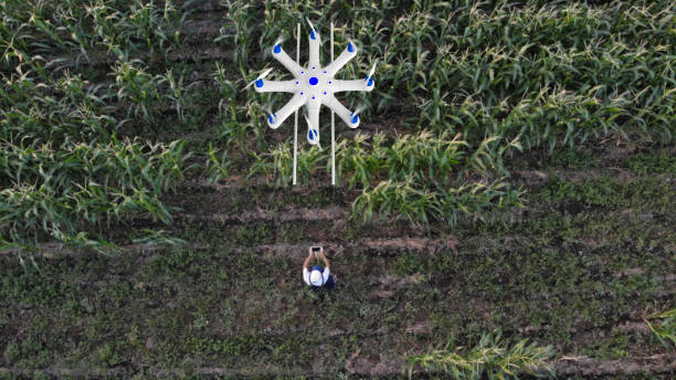 agricoltore spruzzando le sue colture usando un drone - software agricoltura irrigazione foto e immagini stock