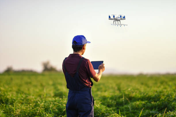 agricoltore spruzzando le sue colture usando un drone - software agricoltura irrigazione foto e immagini stock