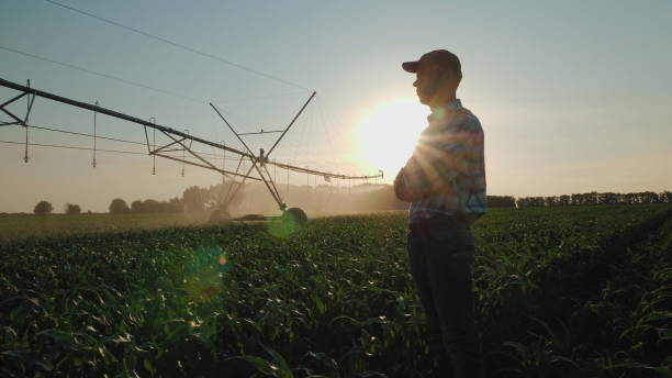 Farmer watching the irrigation cornfield Silhouette of a farmer watching the irrigation of a cornfield using the center pivot sprinkler system at sunset. Watering a cornfield. Camera flies around a man in slow motion irrigation equipment stock pictures, royalty-free photos & images