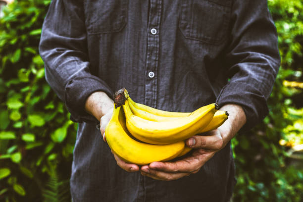 Farmer with bananas stock photo