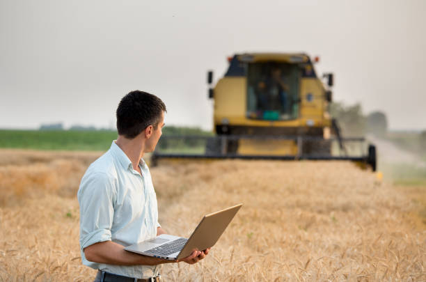 Farmer with laptop in front of combine harvester in field Happy young farmer engineer with laptop standing on wheat field while combine harvester working in background crop yield stock pictures, royalty-free photos & images