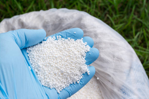 Farmer`s hand in blue glove holds white fertilizer for plants. Big bag with chemical NPK fertilizer for plants fertilizer photos stock pictures, royalty-free photos & images