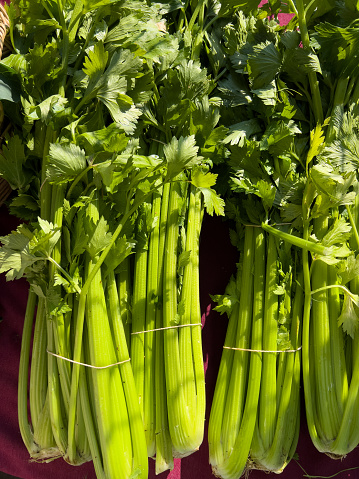 Stalk Pictures Download Free Images on Unsplash Stalk Pictures Download Free Images on Unsplash