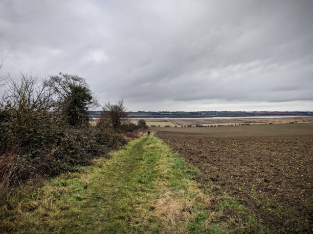 Farmland field in winter with hedgerow and grey cloudy sky stock photo