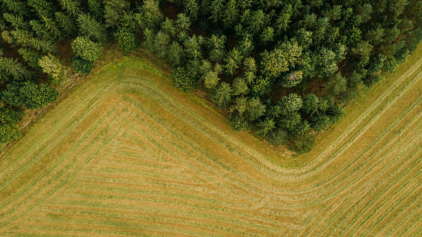 Farmland from above lanscape nature drone photo of agriculture field in harvest stock photo