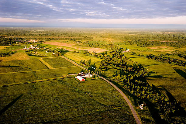 Farmland stock photo